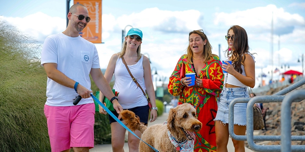 A group of friends in colorful clothing walk their dogs
